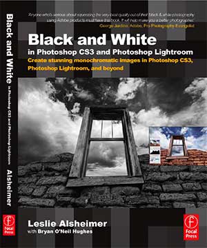 Alsheimer_cover